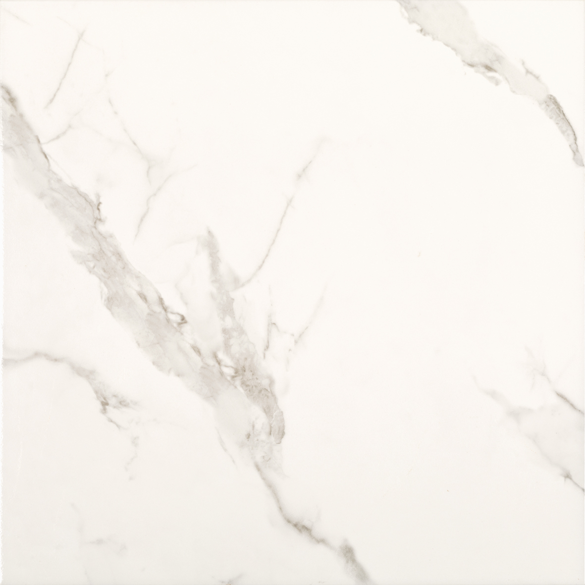 CER.59X59 RET. BIANCO GIOIA POL.CX 2,39MT POINTER